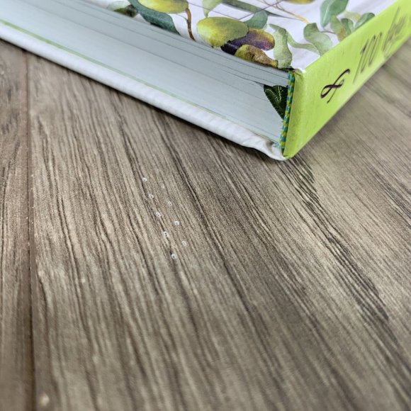 100 Days of Hope by Thomas Nelson Hardcover 2019 - Picture 7 of 8